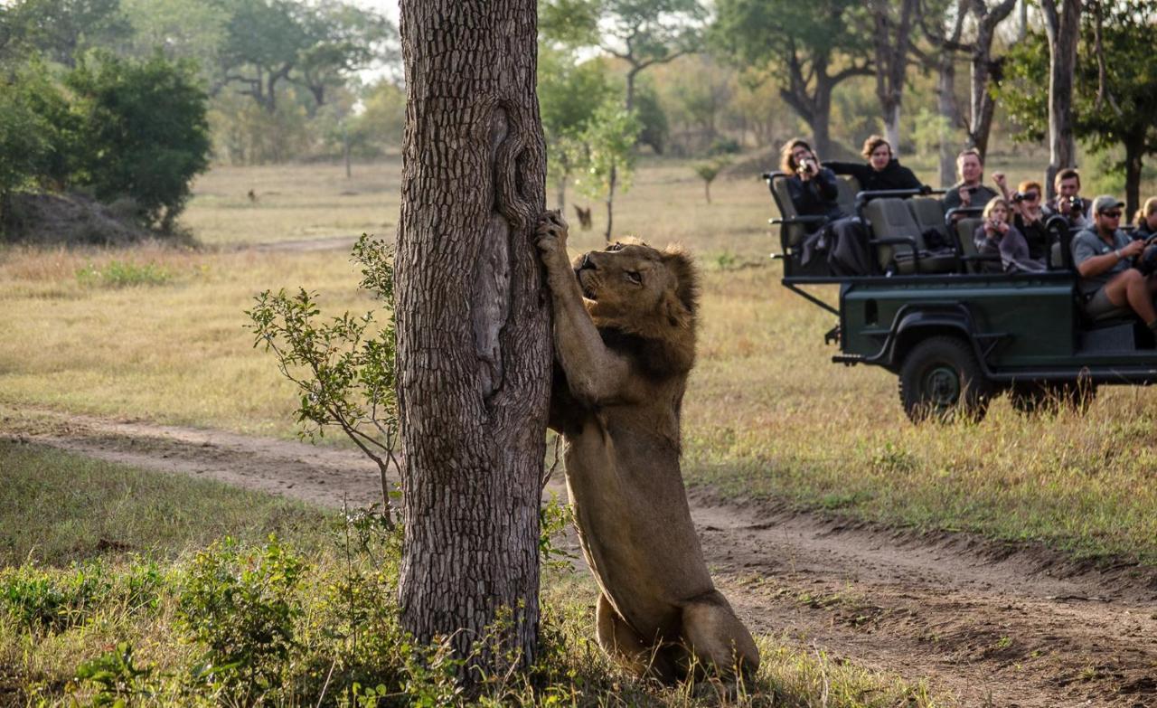 Umkumbe Safari Lodge Riverside Скукуза Экстерьер фото
